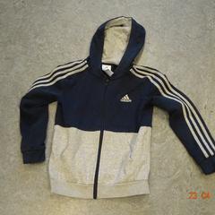 Colete blauw grijs, como reportado por Gemeente Leopoldsburg utilizando o iLost