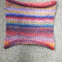 Colsjaal Kleurrijk, zoals gemeld door Burgers' Zoo met iLost