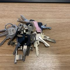 İLost kullanarak Gemeente Alkmaar tarafından bildirildiği gibi Anahtarlık