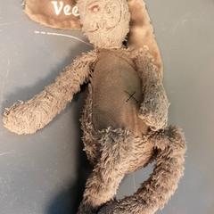 Kuscheliger hase, gemeldet von Diergaarde Blijdorp über iLost