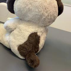Knuffel, come riportato da Eindhoven Airport utilizzando iLost