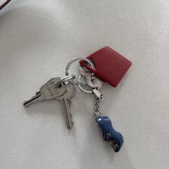 Sleutelbos, iLost'a bildirildiği gibi