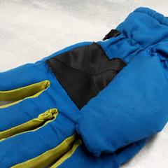 Hanske, som rapportert av Arriva Friesland / Groningen ved bruk av iLost