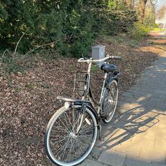 Damesfiets an iLost gemeldet