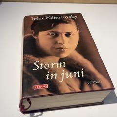 Książka Storm in juni, zgłoszono przez IKEA Groningen przy użyciu iLost