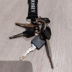 Sleutelbos, zoals gemeld door RRReis Trein Amersfoort / Ede-Wageningen met iLost