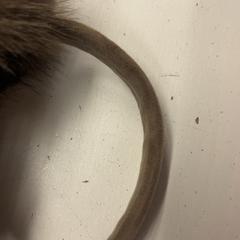 Protetor de orelhas, como reportado por GVB utilizando o iLost