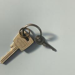 Llaves, ha sido reportado por UMC Utrecht con iLost