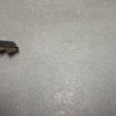 Nøkkel Zilver, som rapportert av Arriva Friesland / Groningen ved bruk av iLost