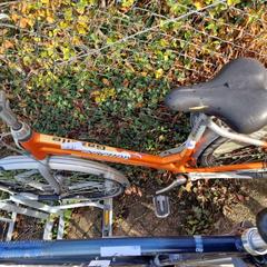 Damcykel, rapporterat av Gemeente Roermond med iLost