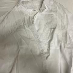 Shirt, segons ha informat Grand Hotel Amrath Kurhaus mitjançant iLost