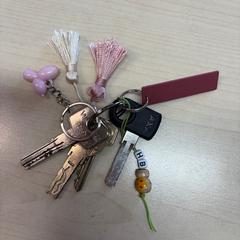 Keychain & Earphone case zwart, as reported by Centraal magazijn using iLost