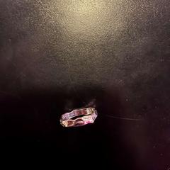 Ringe silver, som rapportert av Leonardo Hotel Amsterdam Rembrandtpark ved bruk av iLost