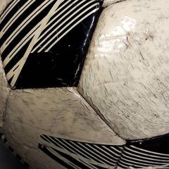 Pilota Wit zwart, segons ha informat Arriva Friesland / Groningen mitjançant iLost