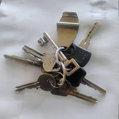 Sleutelbos, segons s'ha informat a iLost