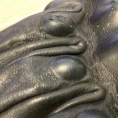 Handschoen, zoals gemeld door Diakonessenhuis Utrecht met iLost