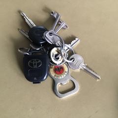 Sleutelbos, gerapporteerd met iLost