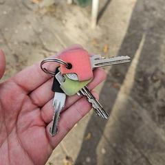 Sleutels, segons s'ha informat a iLost