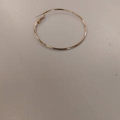 Goudkleurige oorbel goude, a été signalé par Heidelberglaan 15 utilisant iLost