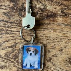 huissleutel met hanger met hondje, as reported to iLost