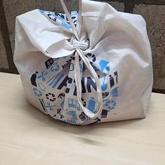 Bag, as reported by Arriva Oost-Brabant using iLost