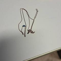 Kettinkje, gemeldet von St. Antonius Ziekenhuis Nieuwegein über iLost