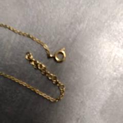 Bracelet Goud kleurig, a été signalé par Arriva Friesland / Groningen utilisant iLost