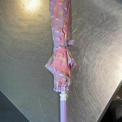 Regenschirm, gemeldet von Burgers' Zoo über iLost