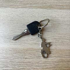 Bike Keychain, iLost에 보고됨