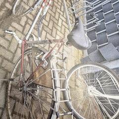 Damesfiets, como reportado por Gemeente Roermond utilizando o iLost
