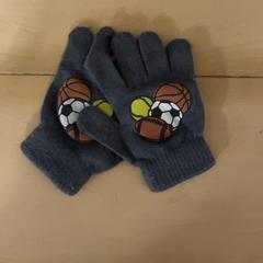 Hansker, som rapportert av Familie Resort Molenwaard ved bruk av iLost