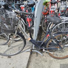 Herenfiets pelikaan, as reported by Stadswerk072 using iLost