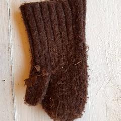 Eskularruak Bruin, gisa salatu by DierenPark Amersfoort iLost erabiliz