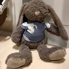 Knuffelkonijn, zoals gemeld door IKEA Zwolle met iLost