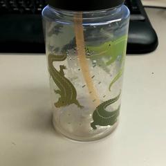 Drinkfles kind, rapporterat av Burgers' Zoo med iLost