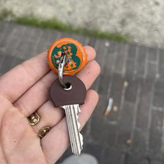 Sleutel met bierdopje, como reportado ao iLost