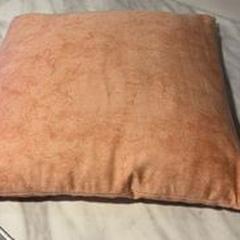 Pillow, as reported by Fjord Line - Fjord FSTR using iLost