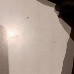 Baby carrier, as reported by De Efteling using iLost