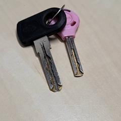 Llaves, ha sido reportado por Arriva Oost-Brabant con iLost