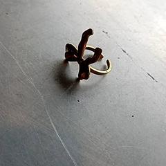 الخاتم، كما تم الإبلاغ عنه بواسطة Paaspop عبر iLost