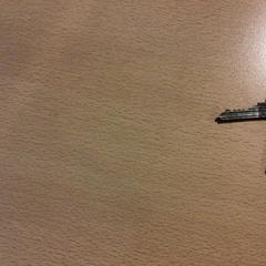 Schlüssel met sleutelhanger, gemeldet von Gemeente Veenendaal über iLost