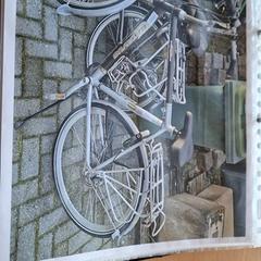 Men’s bike, as reported by Gemeente Roermond using iLost