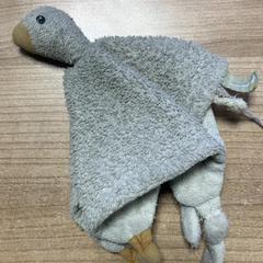 Plyschig slag, rapporterat av Pathé Zwolle med iLost