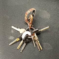 Chaveiro, segundo informou Qbuzz GD Groningen Peizerweg usando iLost