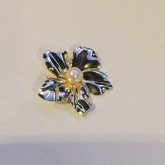 القرط Bloem met parel، كما تم الإبلاغ عنه بواسطة TivoliVredenburg عبر iLost