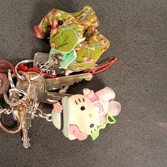 Chiave, come riportato da Breng Nijmegen utilizzando iLost