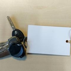 Chiavi, come riportato da Centraal magazijn utilizzando iLost