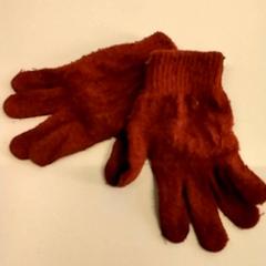 Guants, segons ha informat Gemeente Puurs-Sint-Amands mitjançant iLost