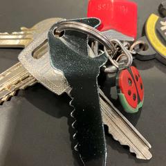 Sleutelbos, zoals gemeld door Gemeente Ermelo met iLost