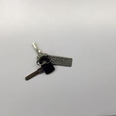 Sleutelbos Esprit, segundo informou Gemeente Weert usando iLost